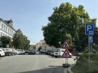 IMG_0081.jpeg
