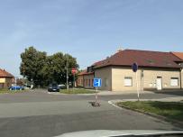 IMG_0095.jpeg