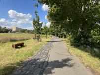 IMG_1058.jpeg