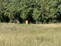IMG_1085.jpeg