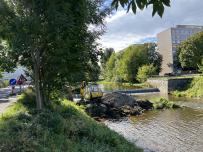 IMG_1366.jpeg