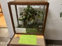 IMG_2009.jpeg