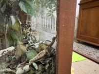IMG_2012.jpeg