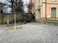 IMG_5201.jpeg