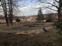 IMG_6050.jpeg