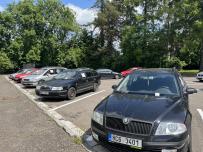 IMG_7252.jpeg