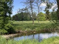 IMG_8287.jpeg