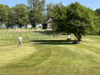 IMG_8297.jpeg