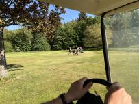 IMG_8335.jpeg