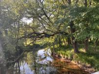 IMG_8340.jpeg